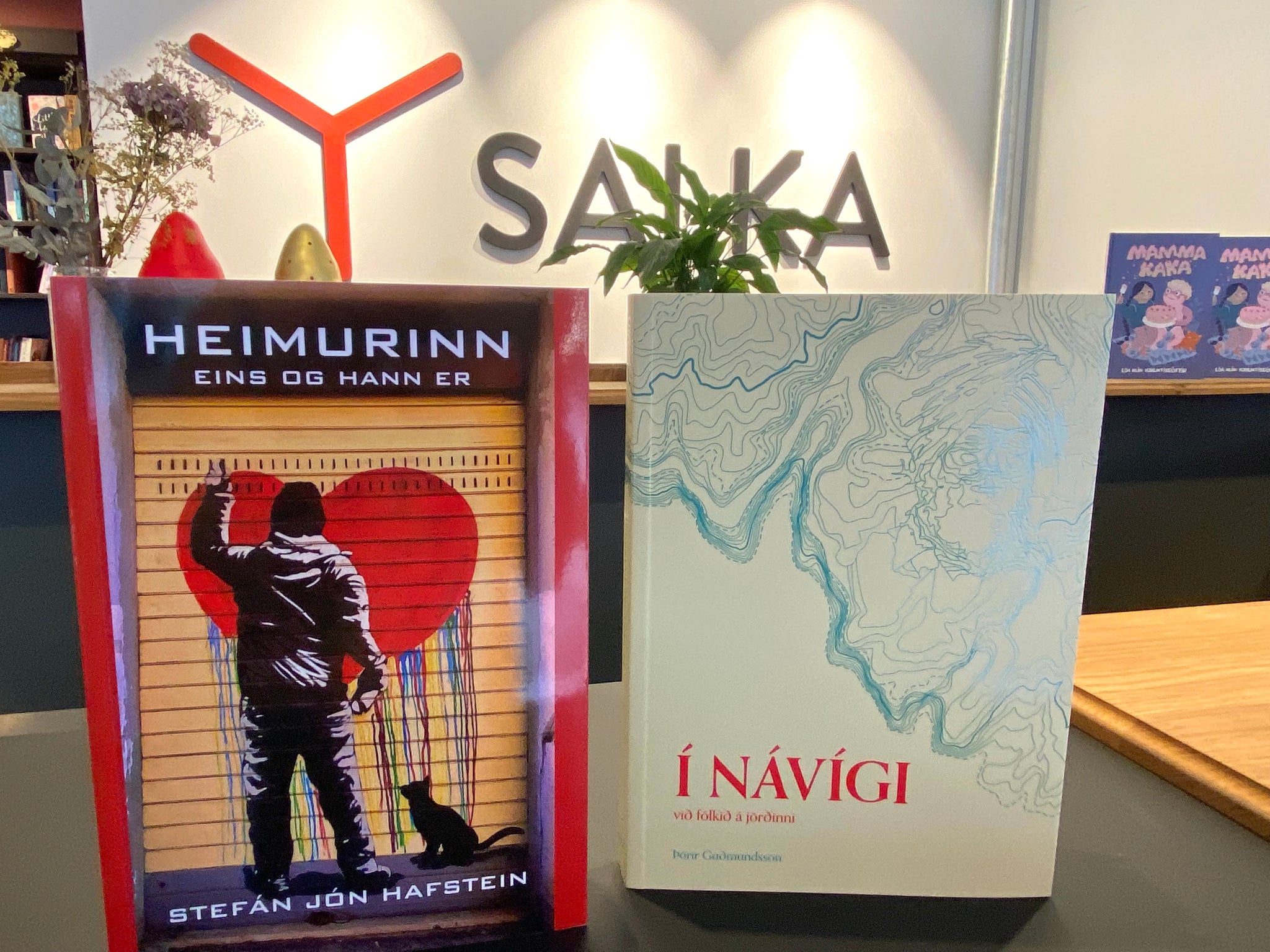 Fyrsta bókakvöld Sölku í haust