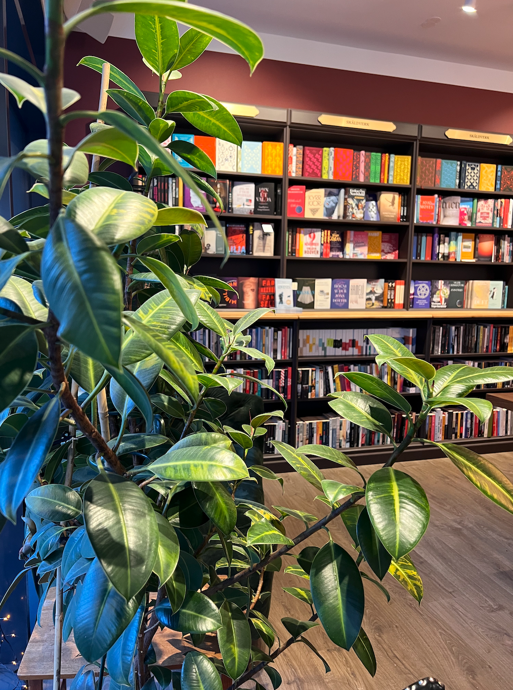 Opnunartími til jóla