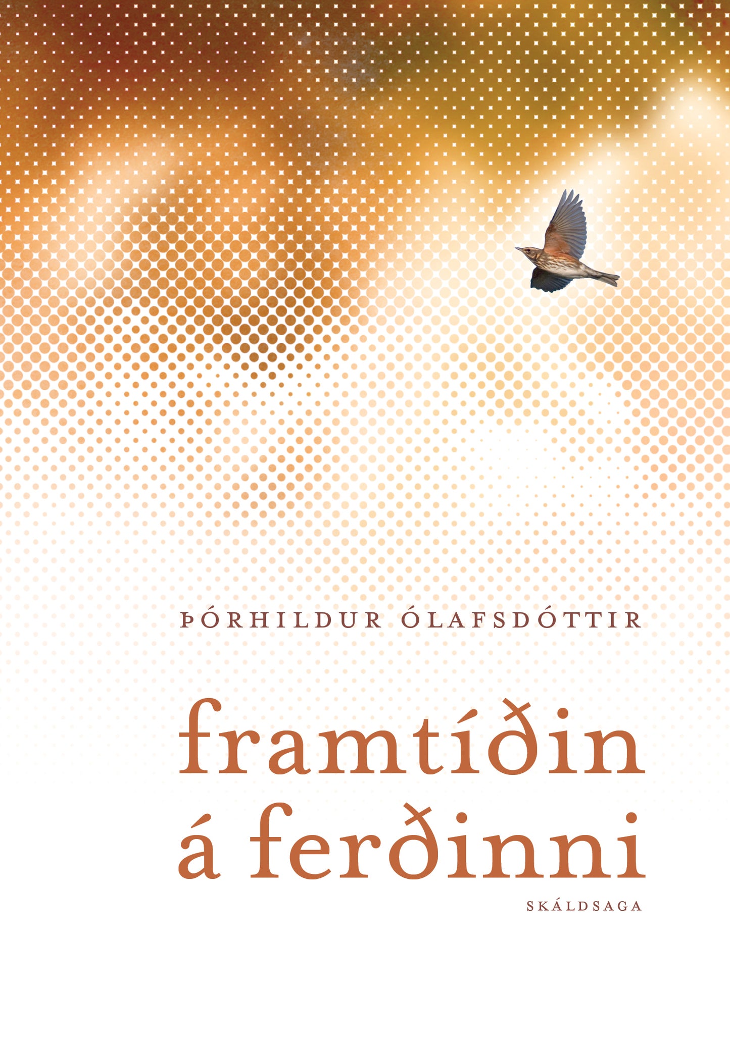 Framtíðin á ferðinni