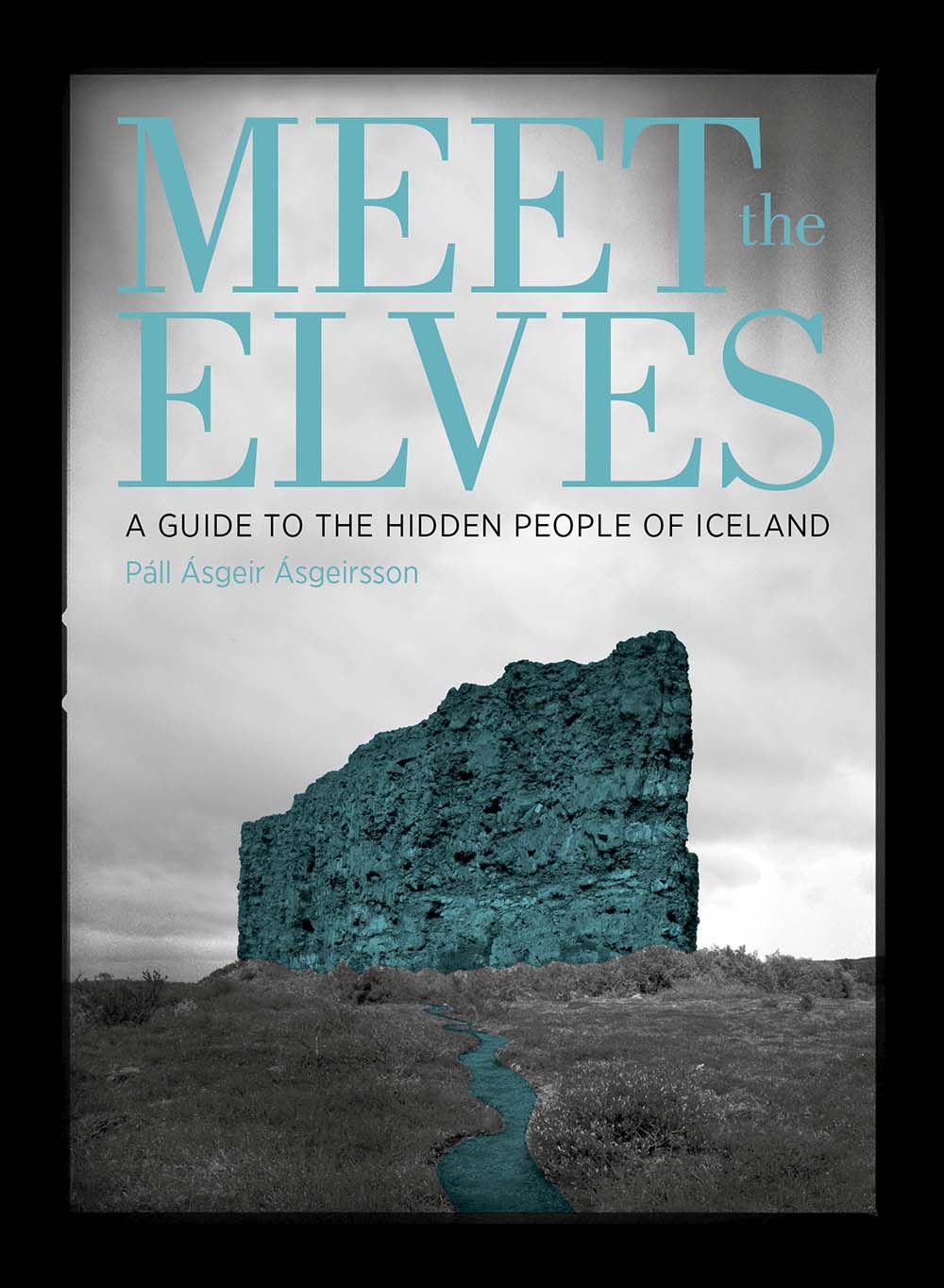 Meet the Elves