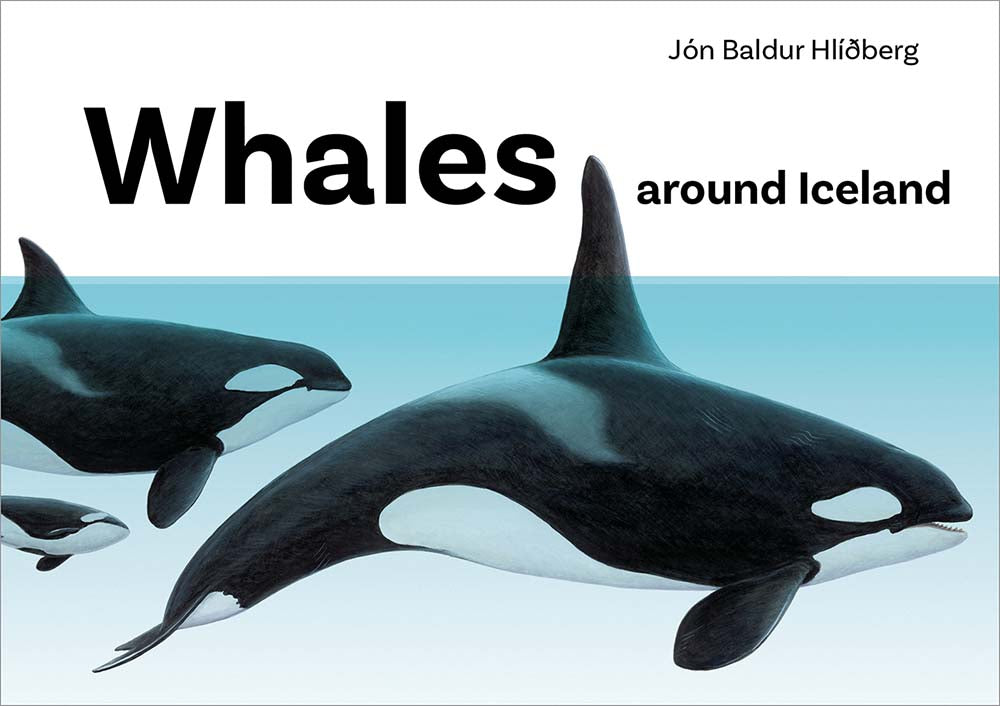 Whales around Iceland - book about Icelandic Whales