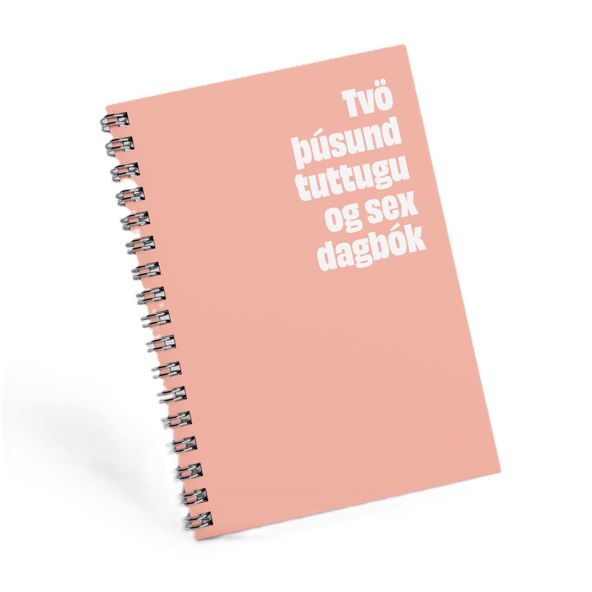 Dagbók - Bleik m/gormum 2026