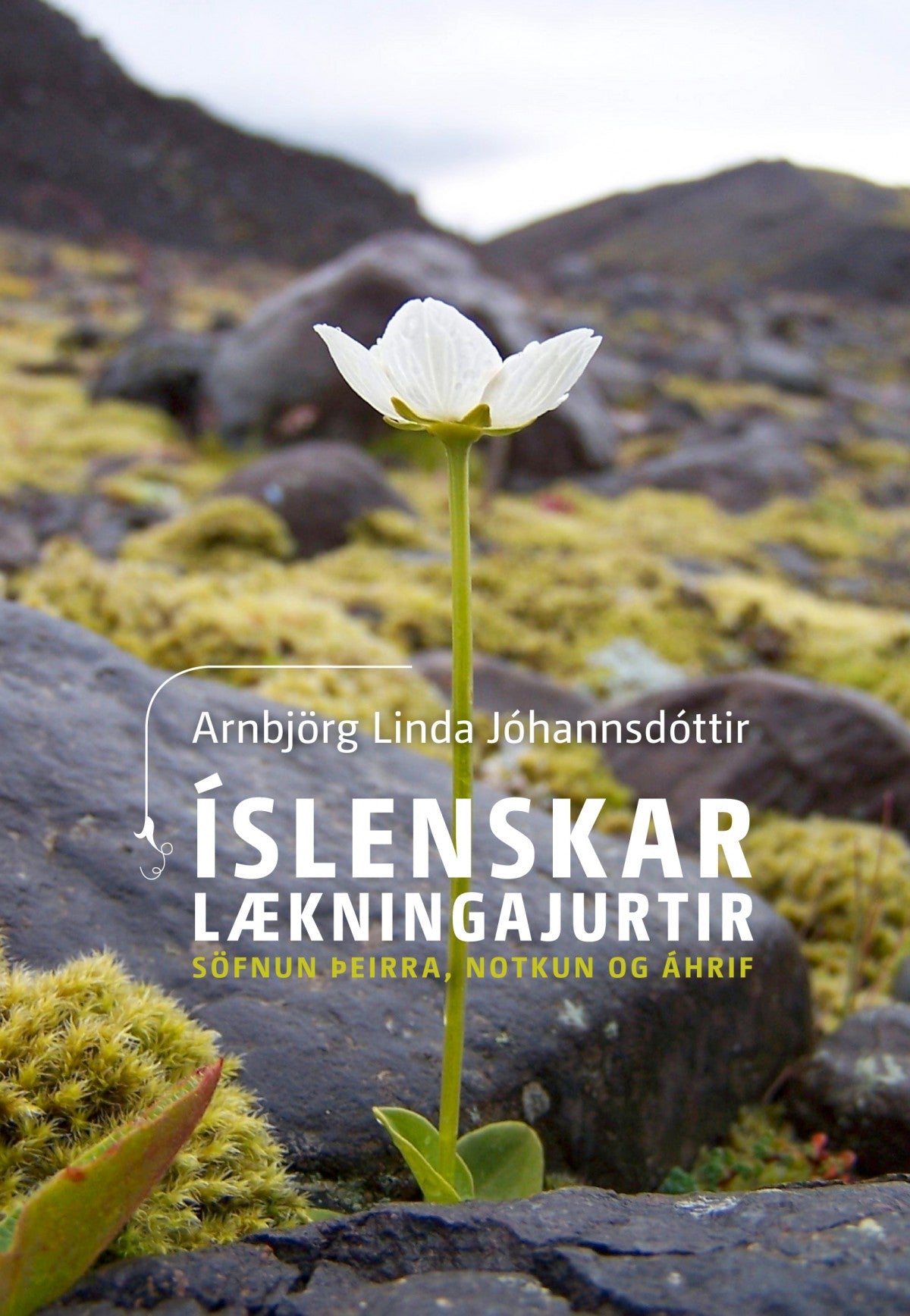 Íslenskar lækningajurtir