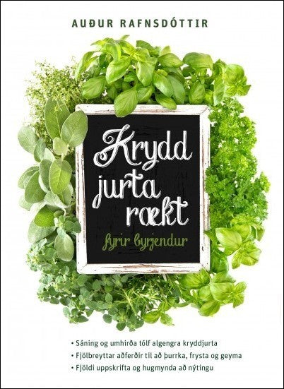 Kryddjurtaræktun fyrir byrjendur