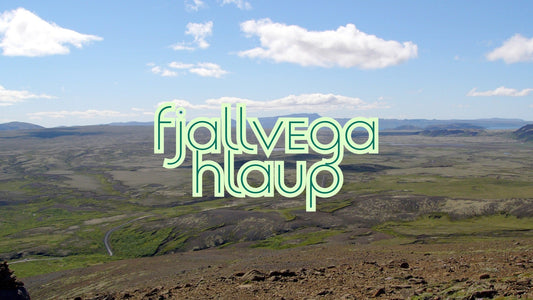 Fjallvegahlaup um Lyngdalsheiði