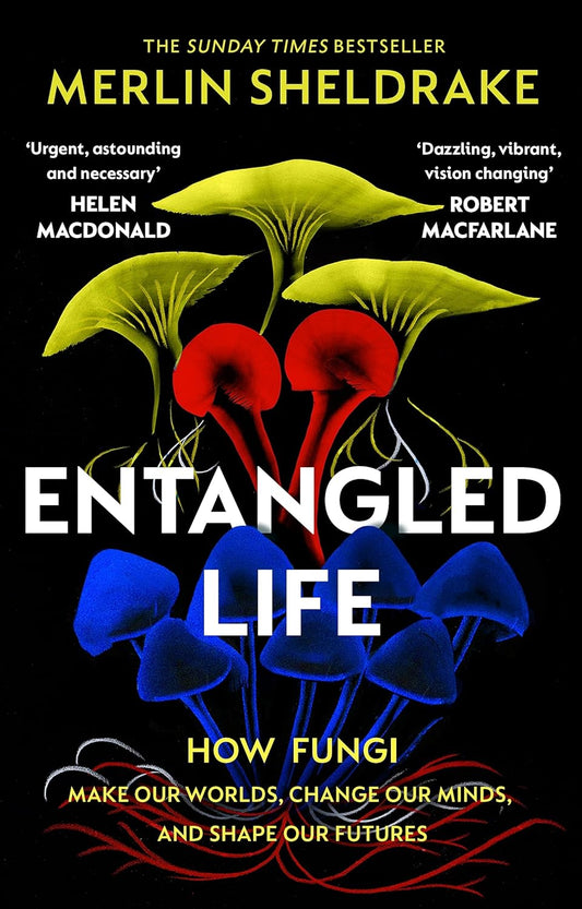 Entangled Life: How Funghi Make Our Worlds