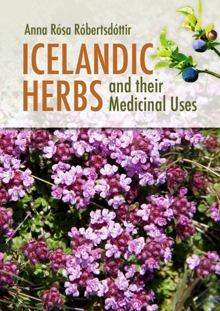 Icelandic Herbs and Their Medicinal Uses