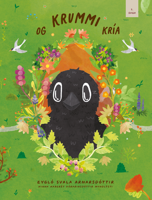 Krummi og Kría - bók