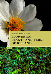 Flowering Plants and Ferns of Iceland