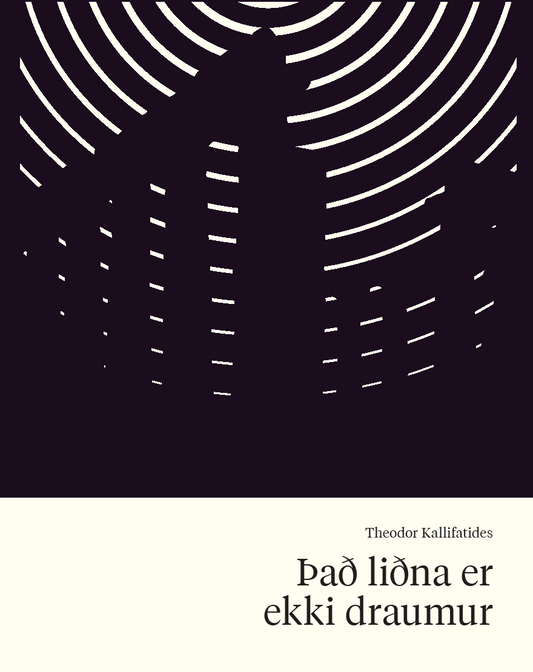 Það liðna er ekki draumur