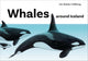 Whales around Iceland - book about Icelandic Whales