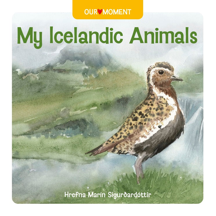 My Icelandic Animals