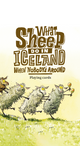 Spilastokkur What Sheep Do In Iceland When Nobodys Around