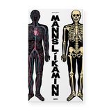 Mannslíkaminn