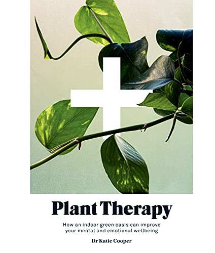 Plant Therapy : How an Indoor Green Oasis Can Improve Your Mental and Emotional Wellbeing