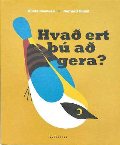 Hvað ert þú að gera?