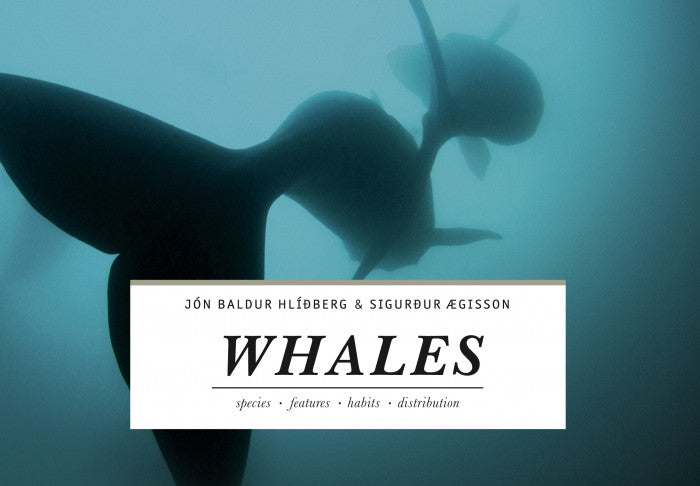 Whales