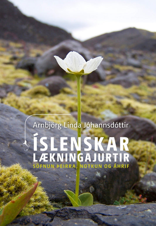 Íslenskar lækningajurtir