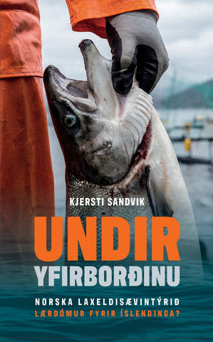 Undir yfirborðinu