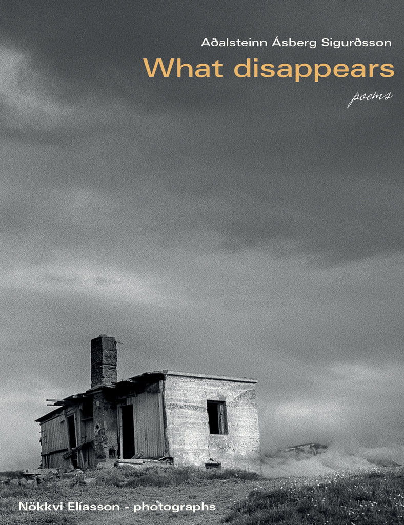 What disappears - poems