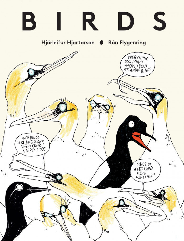 Birds