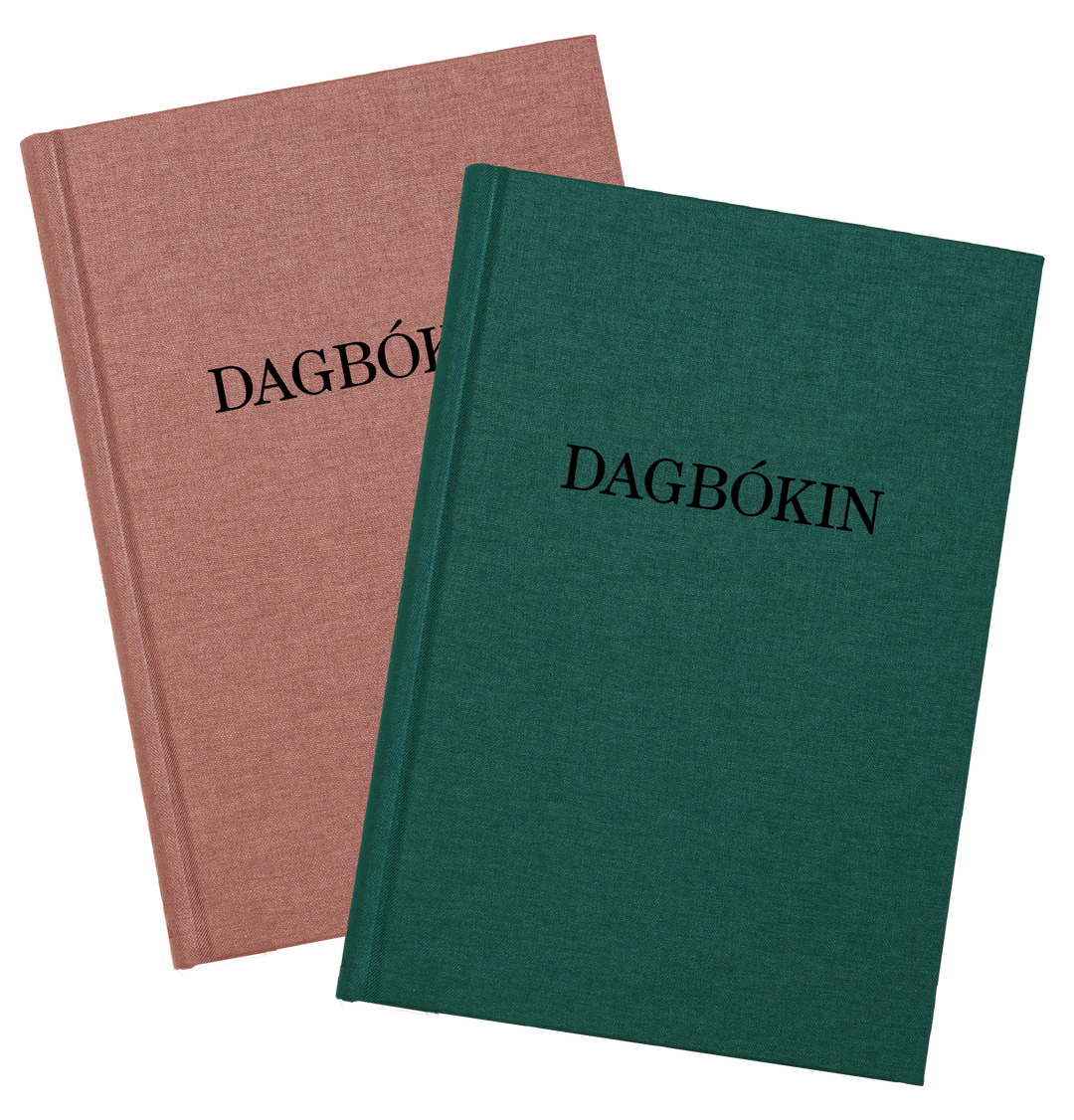 Dagbókin Katrín Edda - ný