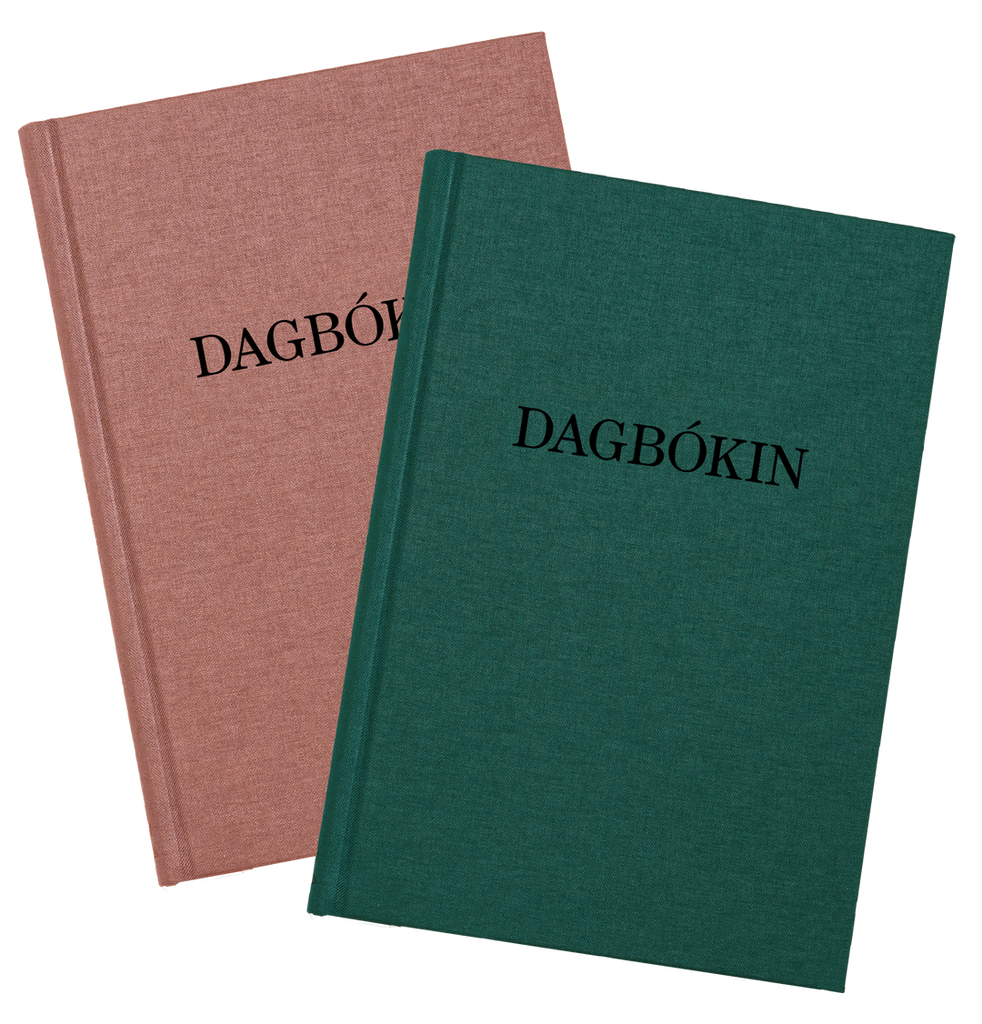 Dagbókin Katrín Edda - ný