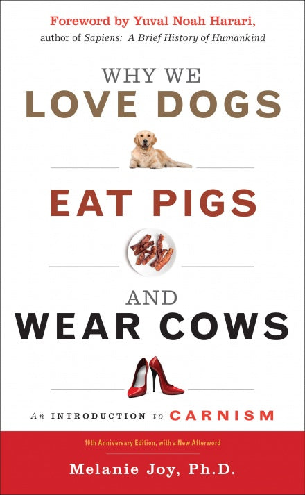 Why We Love Dogs Eat Pigs and