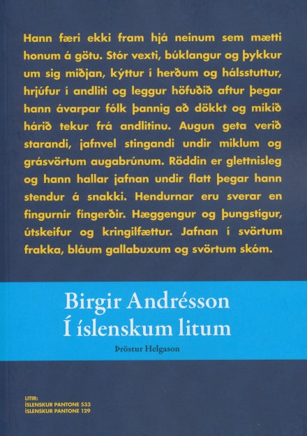 Birgir Andrésson: Í íslenskum litum