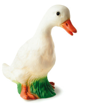 Lampi - önd