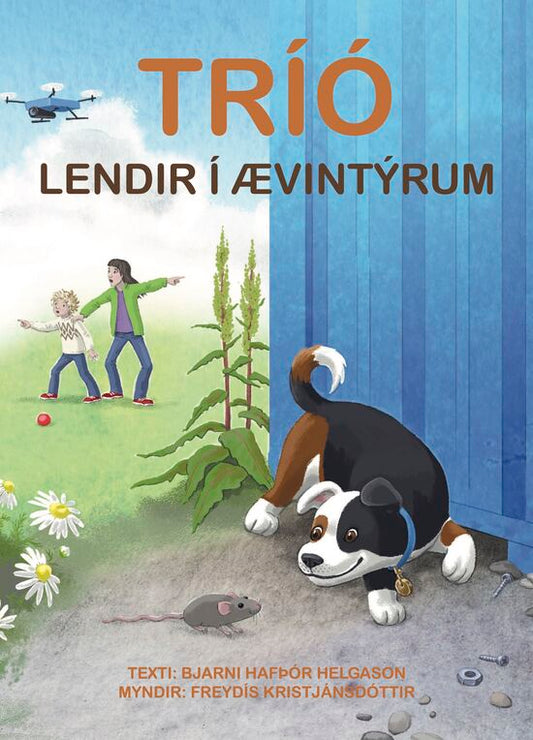 Tríó lendir í ævintýrum