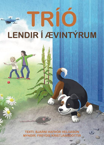 Tríó lendir í ævintýrum