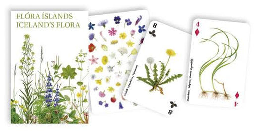 Spilastokkur Flóra Íslands